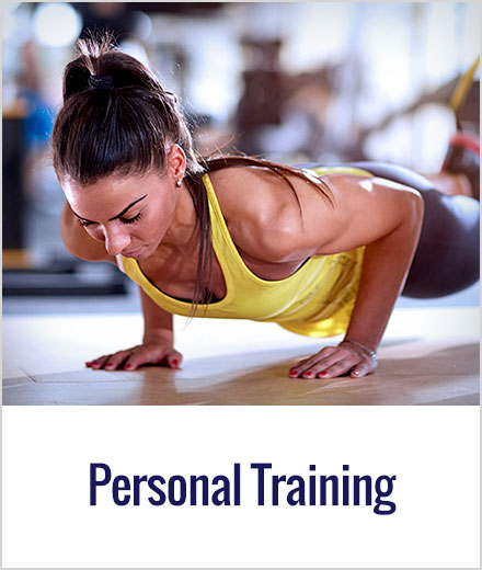 Fitness & Online Training